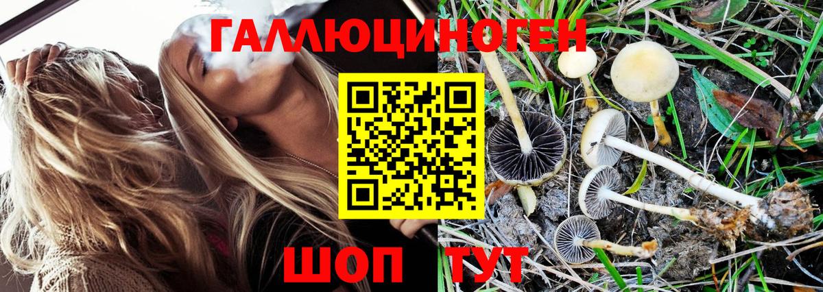 что такое   Вход с VPN  Карталы  Галлюциногенные грибы GOLDEN TEACHER 